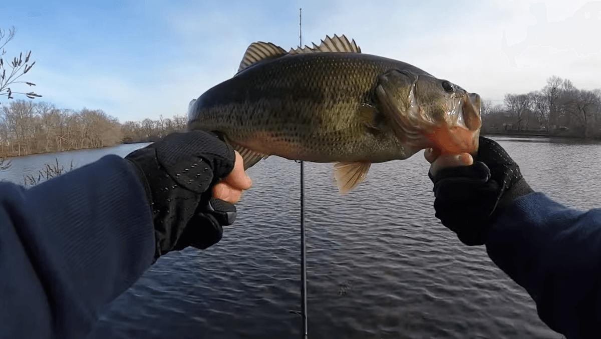 Vívelo LI : Festival de pesca gratuito en Hempstead Lake State Park