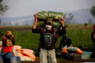 Gobernadora de NY convoca grupo de trabajo para resolver necesidades de agricultores locales