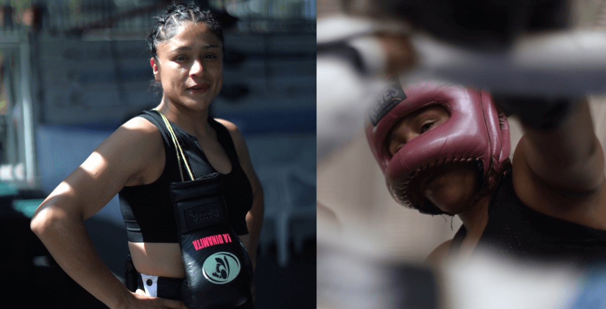 'Dinamita' Cruz quiere arrebatarle los títulos a Amanda Serrano en NY