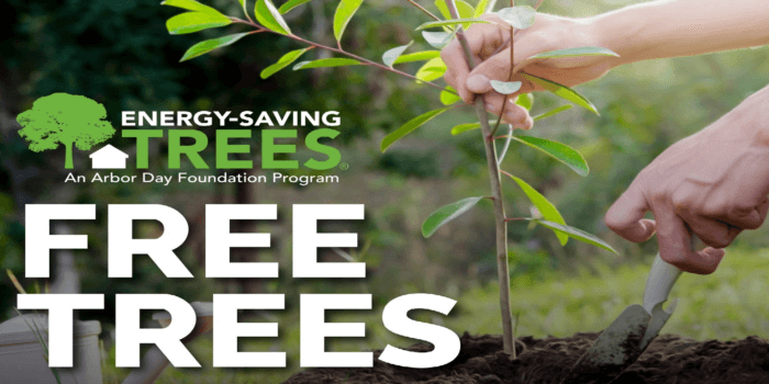 Distribuyen árboles gratis en honor al Día de la Tierra