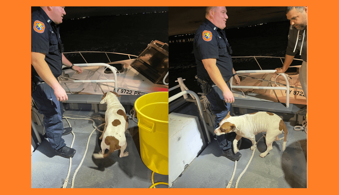 Policía de Nassau rescata a navegante y su mascota atrapados en pantano