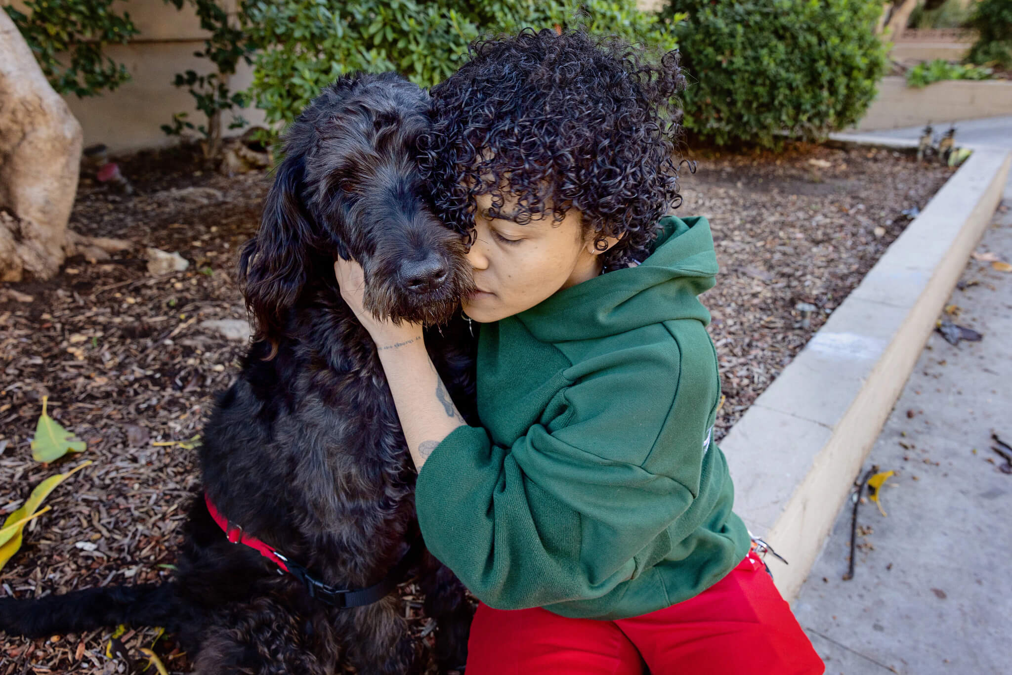 Las mascotas ayudan a preservar la salud mental