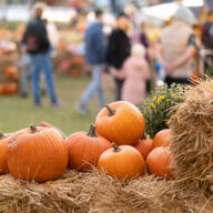 Guía de Festivales de Otoño en Long Island