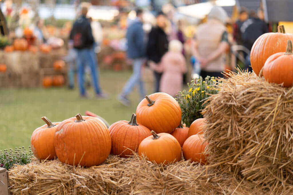 Guía de Festivales de Otoño en Long Island