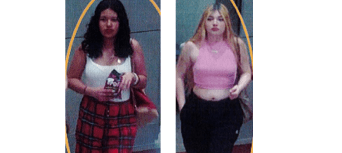 Buscan a dos mujeres por robar en tienda Target de Central Islip