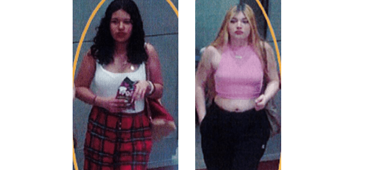 Buscan a dos mujeres por robar en tienda Target de Central Islip