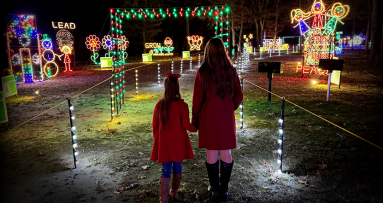 Vívelo LI : Desfile de Luces Navideñas en Long Beach