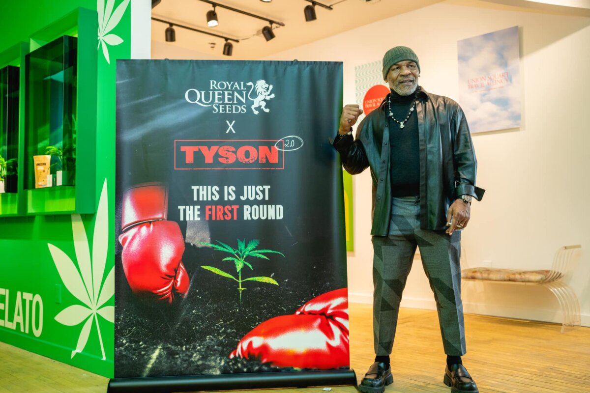 Mike Tyson de leyenda del boxeo a empresario del cannabis en Nueva York