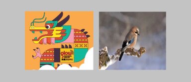 Vívelo LI : El Año Nuevo Chino y Observación de Aves