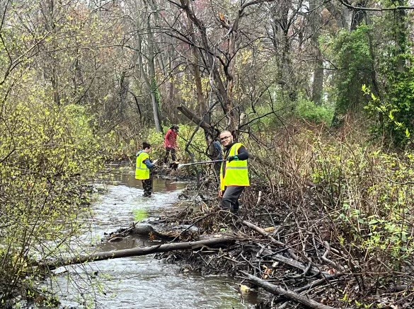 Legisladores Mulé y Koslow se unen a Green Army para limpiar la Reserva Brookside