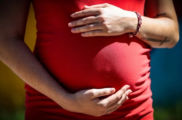 Gobierno estatal de Nueva York mejora la salud materna e infantil