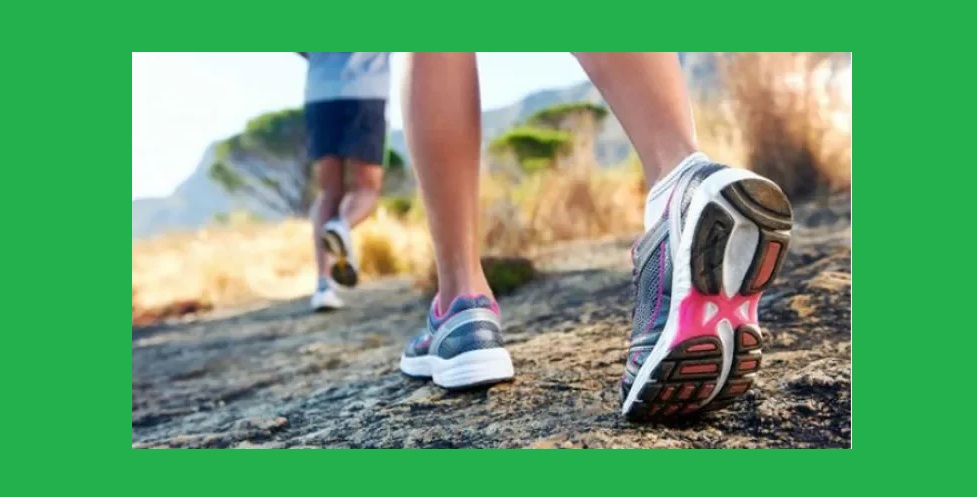Suffolk lanza su Serie de Caminatas por la Naturaleza en Primavera 2025