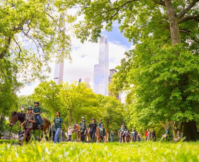 Caballos que Sanan Llevan la Magia Terapéutica a Central Park
