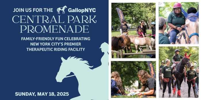 Caballos que Sanan Llevan la Magia Terapéutica a Central Park