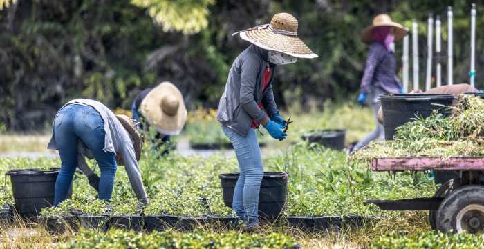 Gobierno de Trump dice que ha arrestado a más 300.000 indocumentados desde enero
