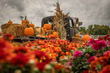Diversión asegurada en Festivales y Ferias de Otoño