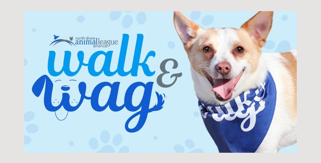 VíveloLI : "Walk & Wag 2025" Caminata para Perros y Familias en Glen Cove