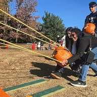 Vívelo LI : Destrucción de Calabazas de Halloween