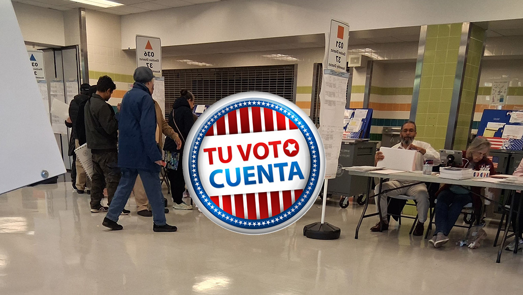 Elecciones 2025: Resultados extraoficiales en Long Island (Nassau y Suffolk)