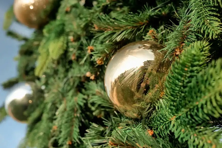 Disfrute lindos eventos de iluminación del árbol navideño en Long Island