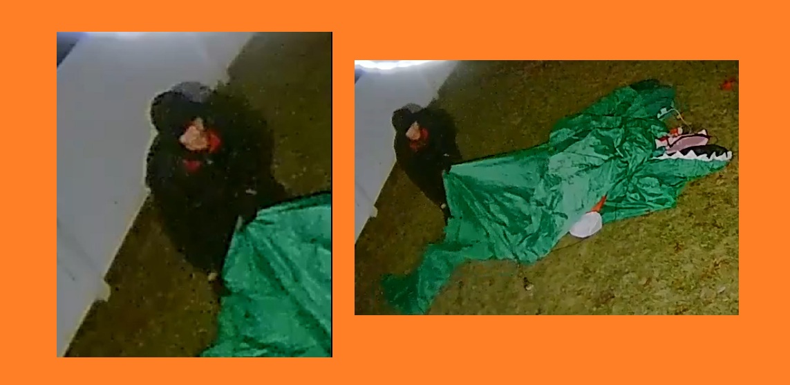 Se busca al Grinch que robó la decoración navideña de una casa en Suffolk