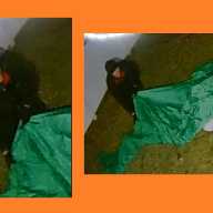 Se busca al Grinch que robó la decoración navideña de una casa en Suffolk