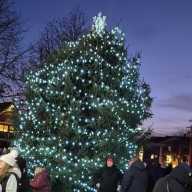 Invitan al encendido del Árbol de Navidad del Legislador González en Brentwood
