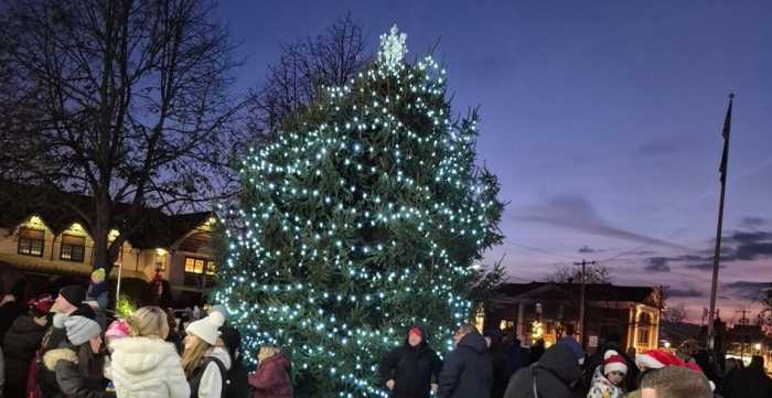 Invitan al encendido del Árbol de Navidad del Legislador González en Brentwood