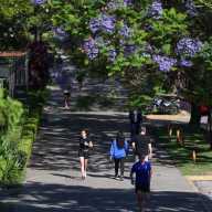 Con solo 5 minutos más de actividad física se reduce un 10% el riesgo de mortalidad