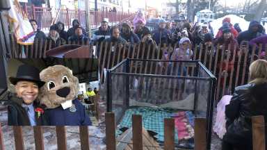 La Marmota 'Malverne Mel' pronostica 6 semanas más de invierno