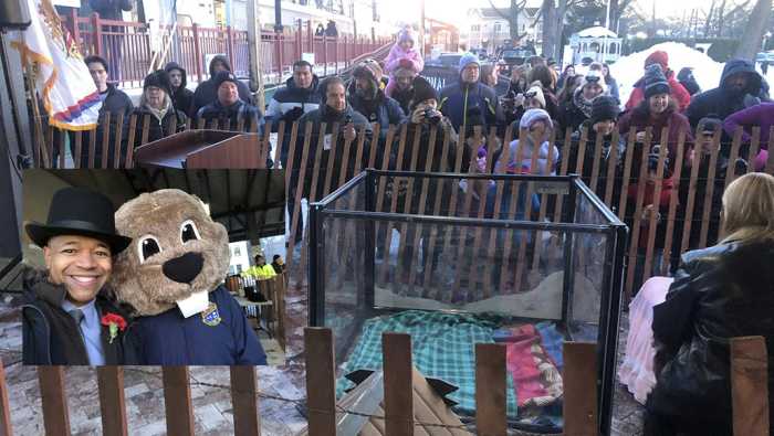 La Marmota 'Malverne Mel' pronostica 6 semanas más de invierno