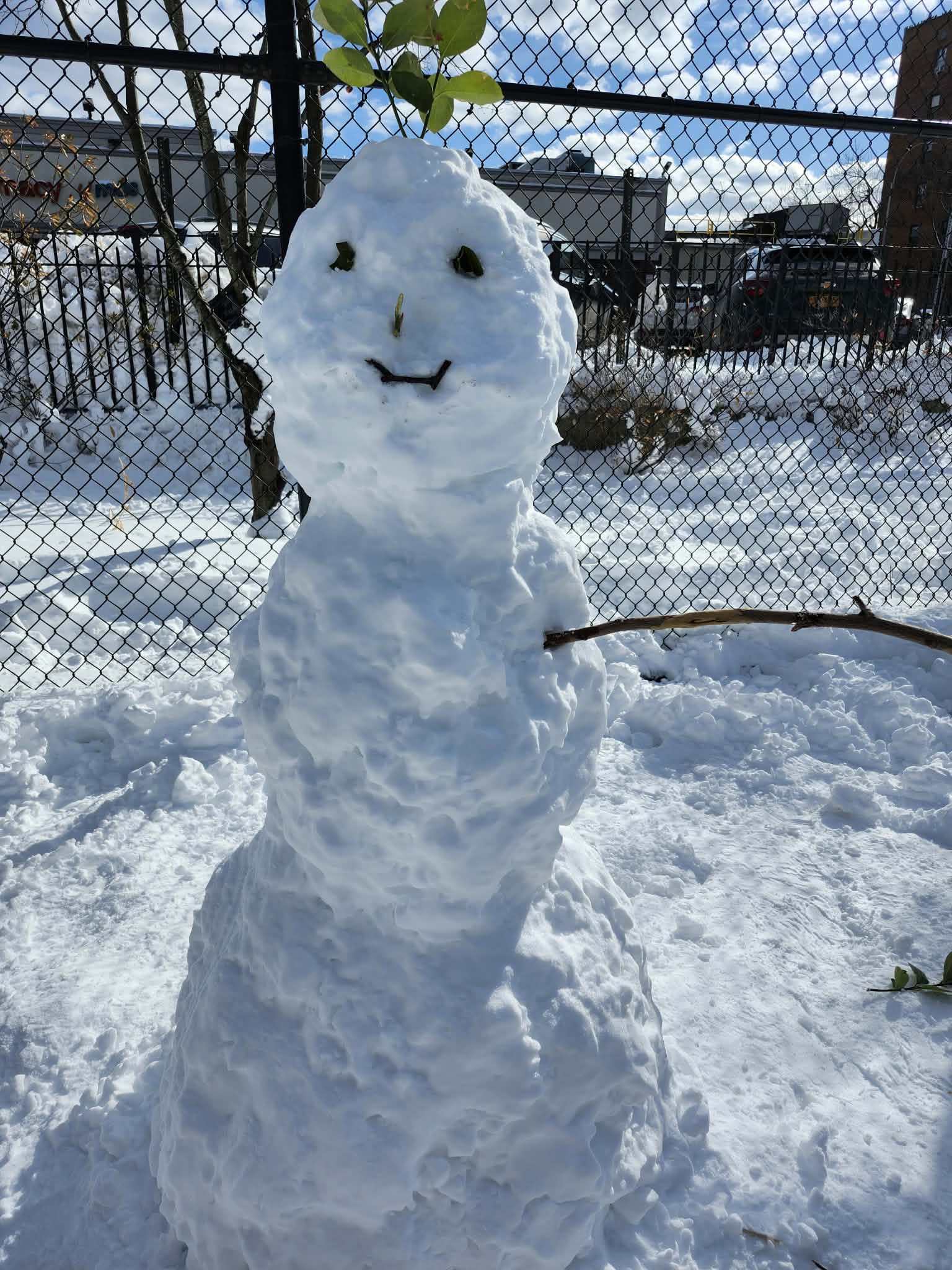 "¡A mal tiempo ... buena cara!" Disfrutando la nevada invernal