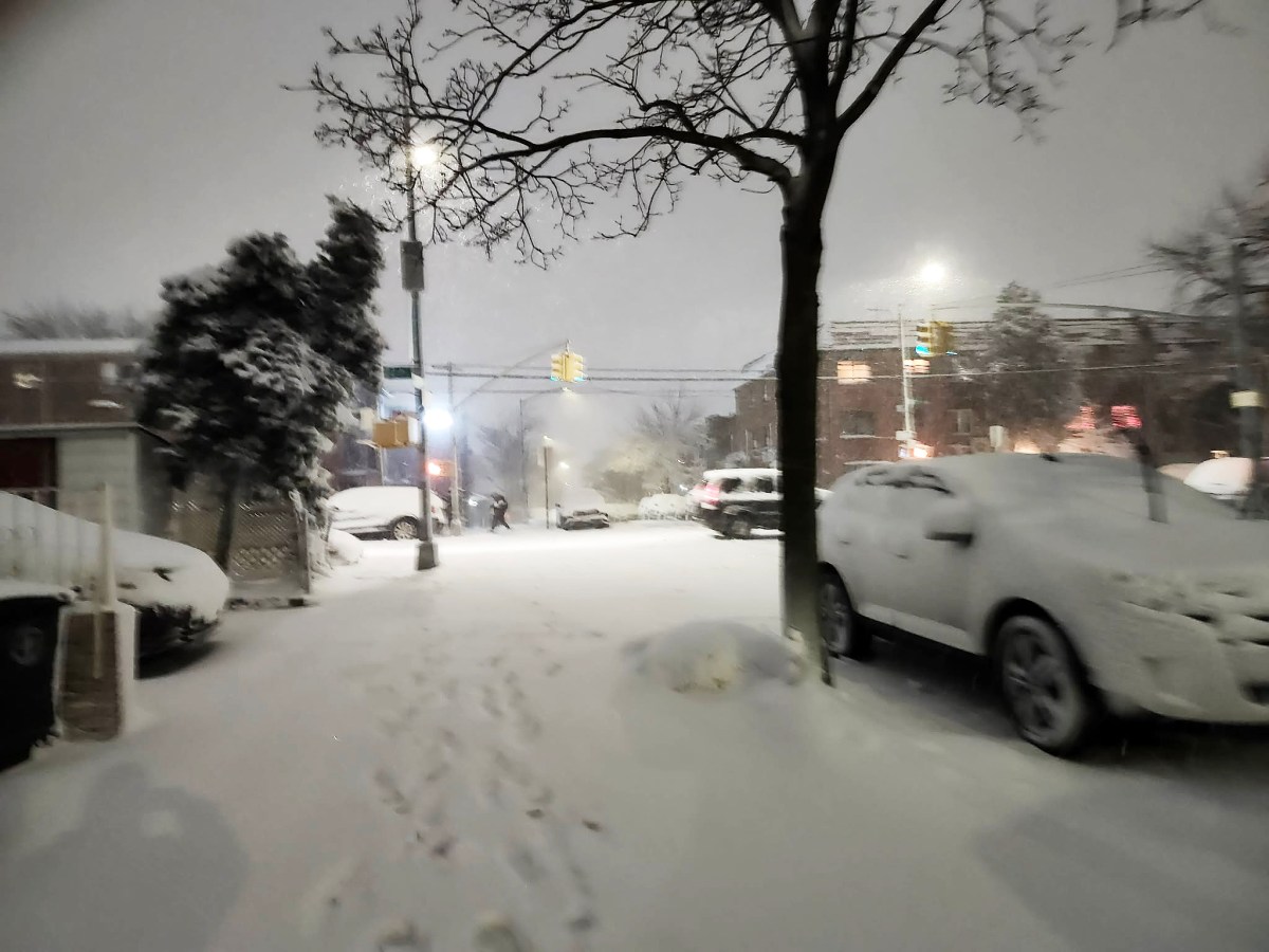 Fuerte nevada cae en NYC y Long Island: prohiben el transporte y suspenden clases