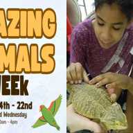 Vívelo LI : Show de animales asombrosos en CSTL Reserva Tanglewood