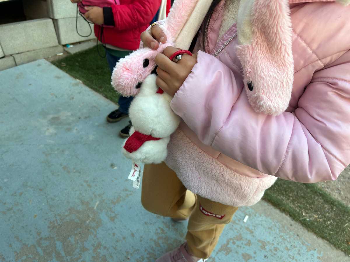 Al menos 11.000 niños estadounidenses, separados de sus padres en redadas migratorias de Trump