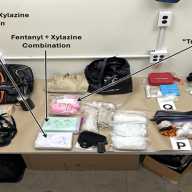 Hombre de Suffolk acusado de poseer suficiente fentanilo para matar a más de 2 millones de personas