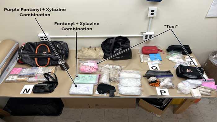 Hombre de Suffolk acusado de poseer suficiente fentanilo para matar a más de 2 millones de personas