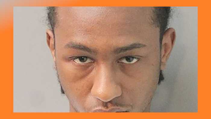 Sujeto arrestado por agresión a una mujer y un policía del condado de Nassau