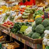 Consejos para que las familias apoyen la nutrición y el bienestar