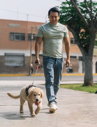 Caminata saludable para estresarse menos: Muévase para mejorar su bienestar