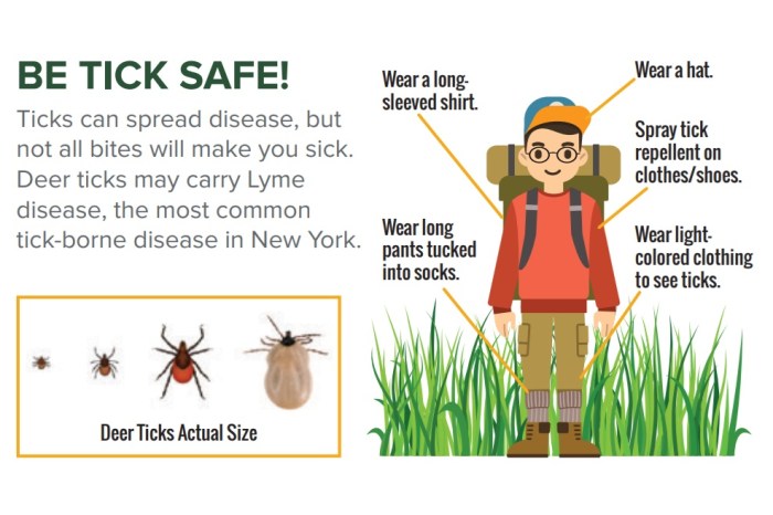 Anuncian fin de semana anual de caza de pavos para jóvenes en Suffolk y Upstate NY