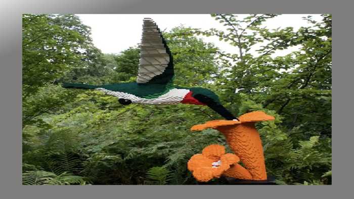 Vívelo LI : Exposición de animales de LEGO en Old Westbury Gardens