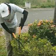 Agricultores, paisajistas y jardineros de NYC y Long Island podrían beneficiarse de una demanda colectiva