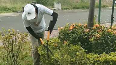 Agricultores, paisajistas y jardineros de NYC y Long Island podrían beneficiarse de una demanda colectiva
