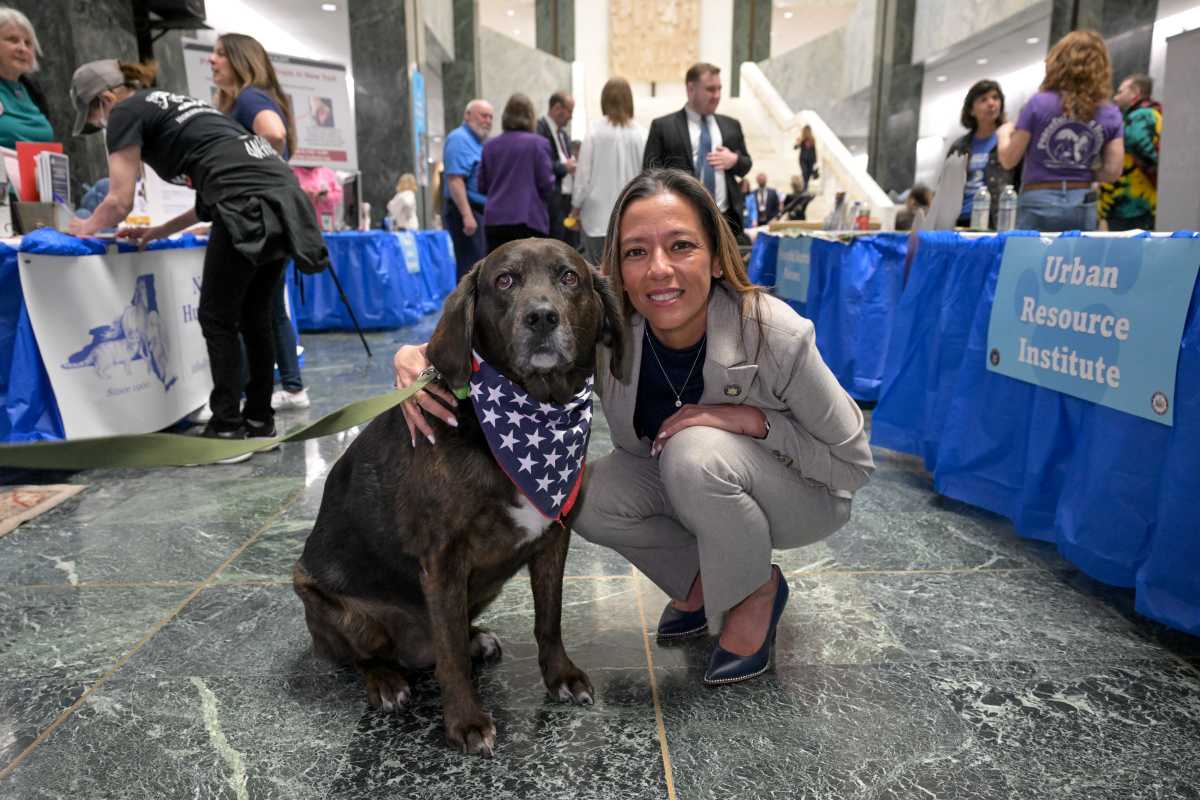 Senadora estatal Mónica Martínez impulsa legislaciones de protección animal