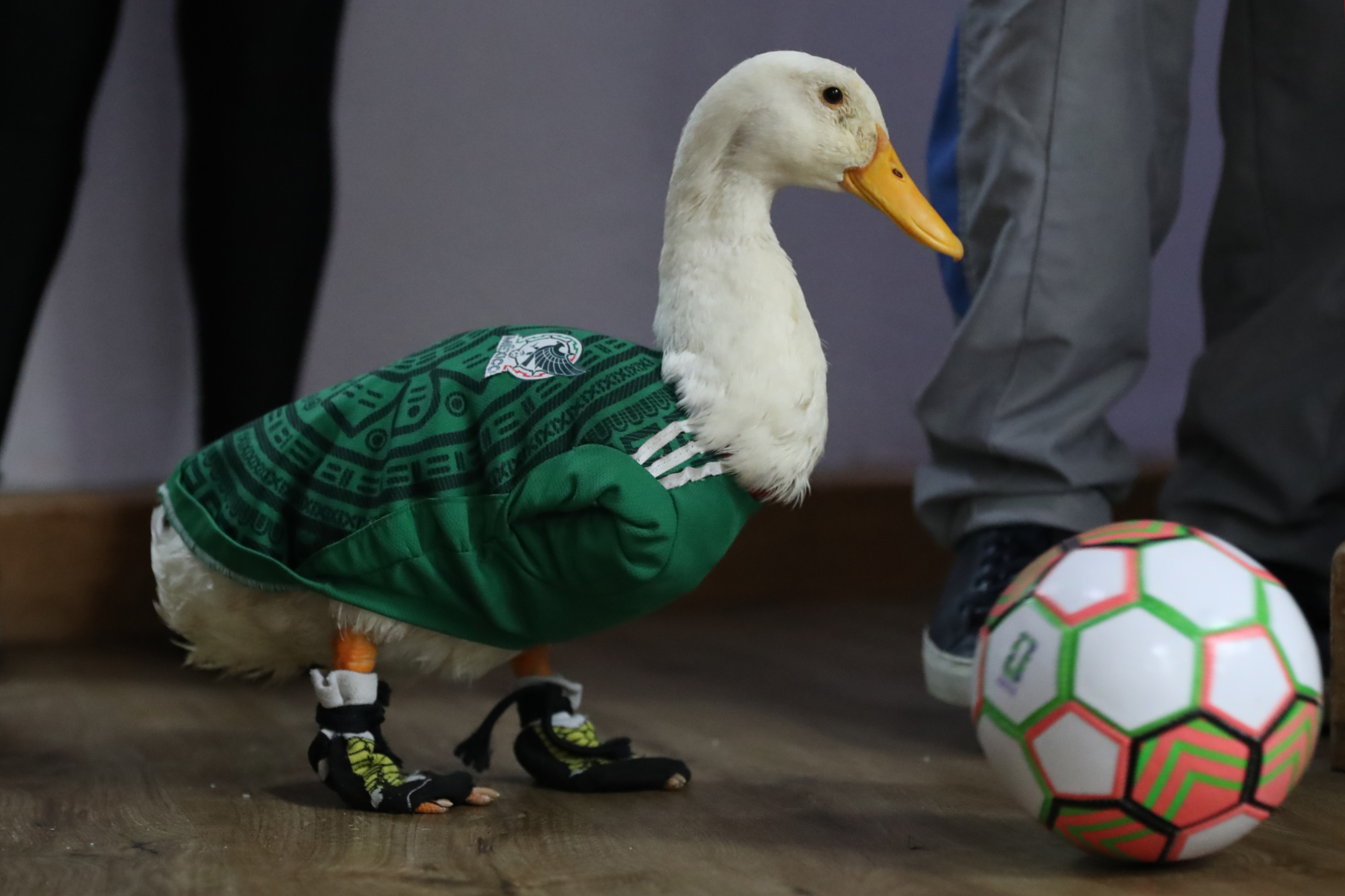 Merlín, la sensación con alas salva un Mundial y a su familia mexicana