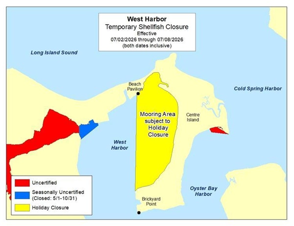 Anuncian cierre temporal de dos zonas de recolección de mariscos en Nassau y Suffolk