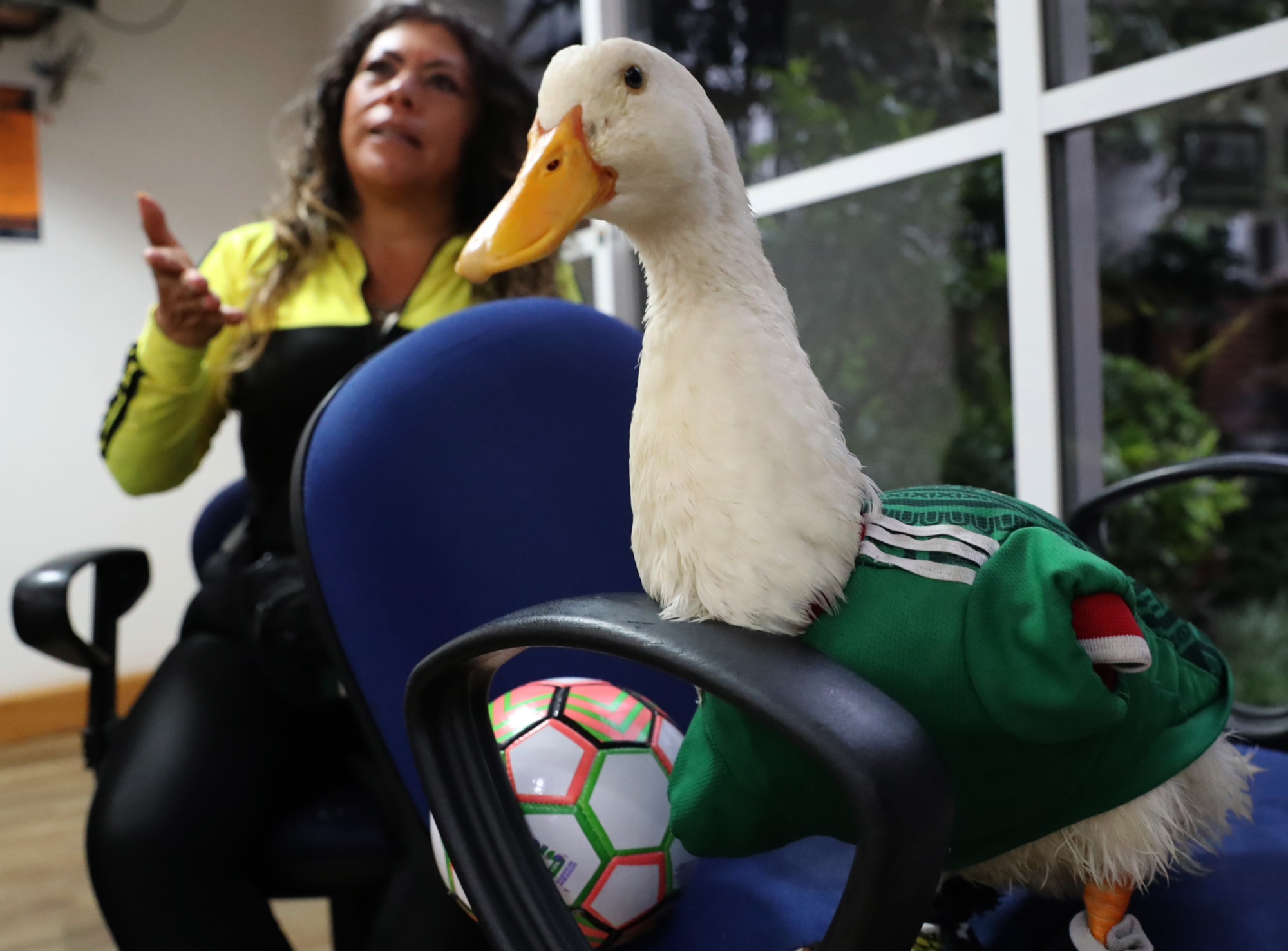 Merlín, la sensación con alas salva un Mundial y a su familia mexicana