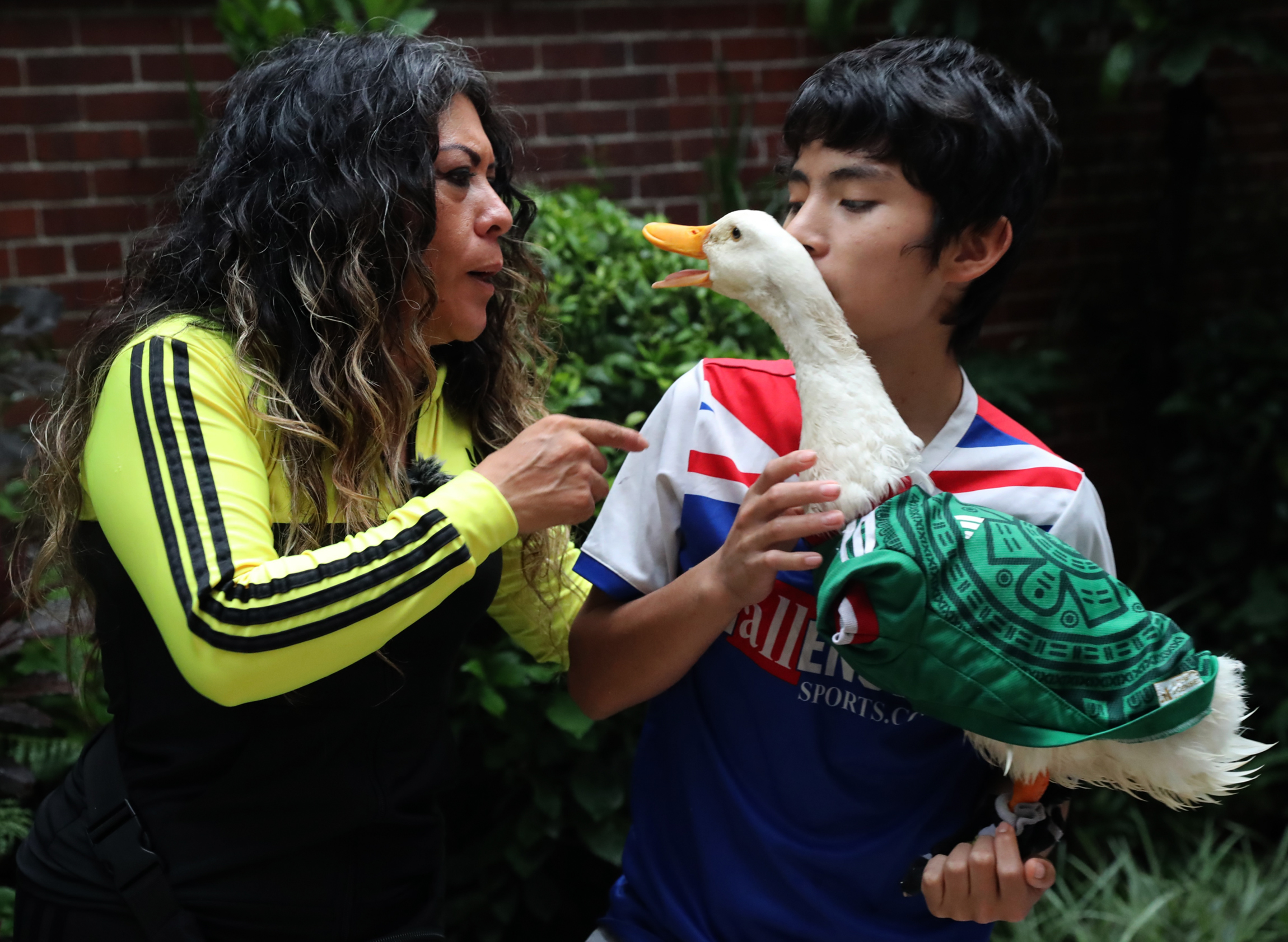 Merlín, la sensación con alas salva un Mundial y a su familia mexicana