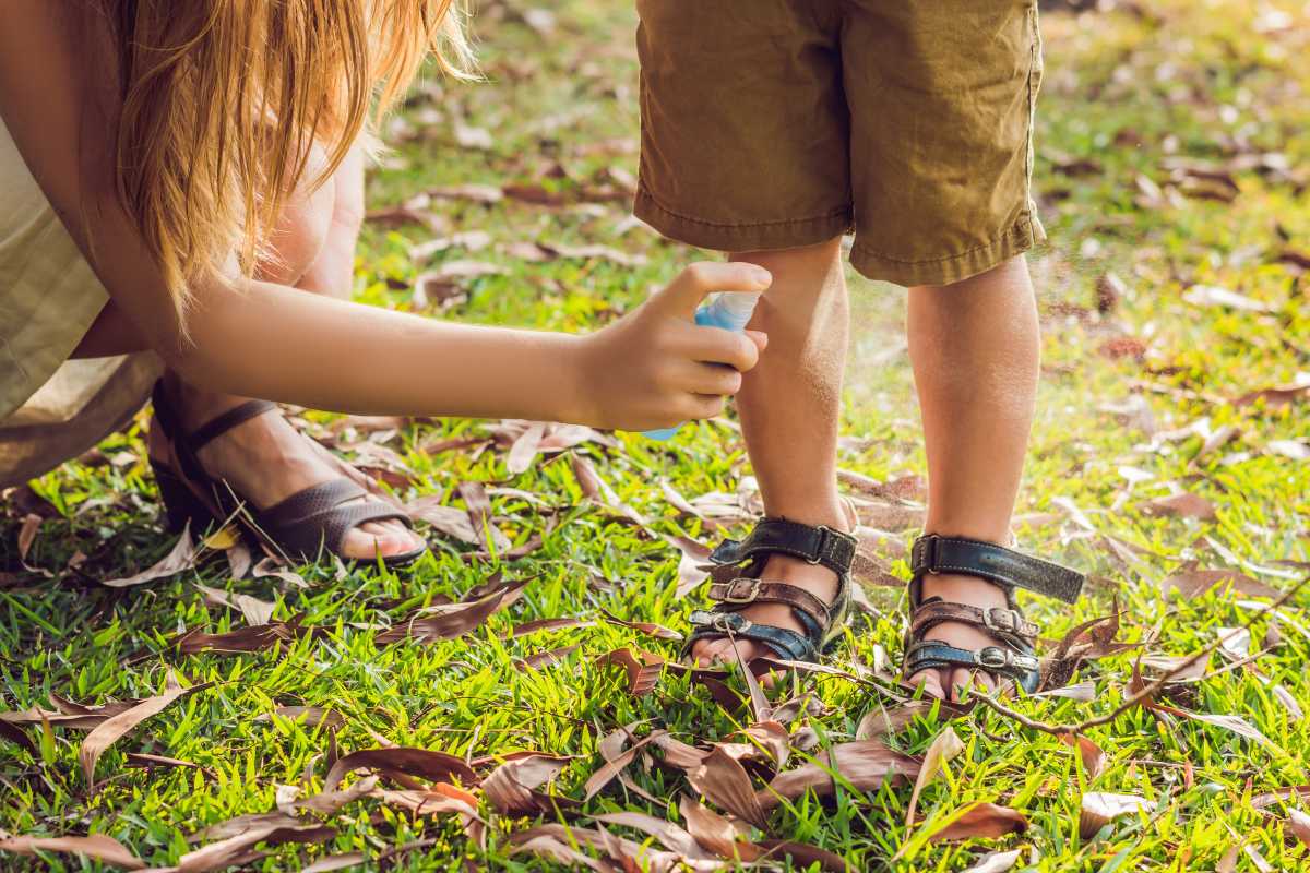 Cómo tratar y prevenir las picaduras de insectos y los riesgos para la salud este verano
